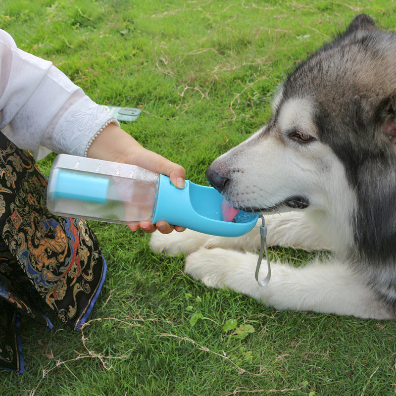 Portable Pet Water Bottles for Walks & Travel