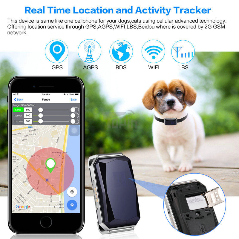 GPS Pet Tracker for Dogs and Cats
