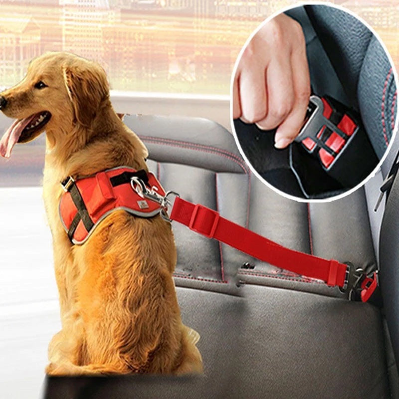 Adjustable Pet Car Seat Belt – Keep Pets Safe