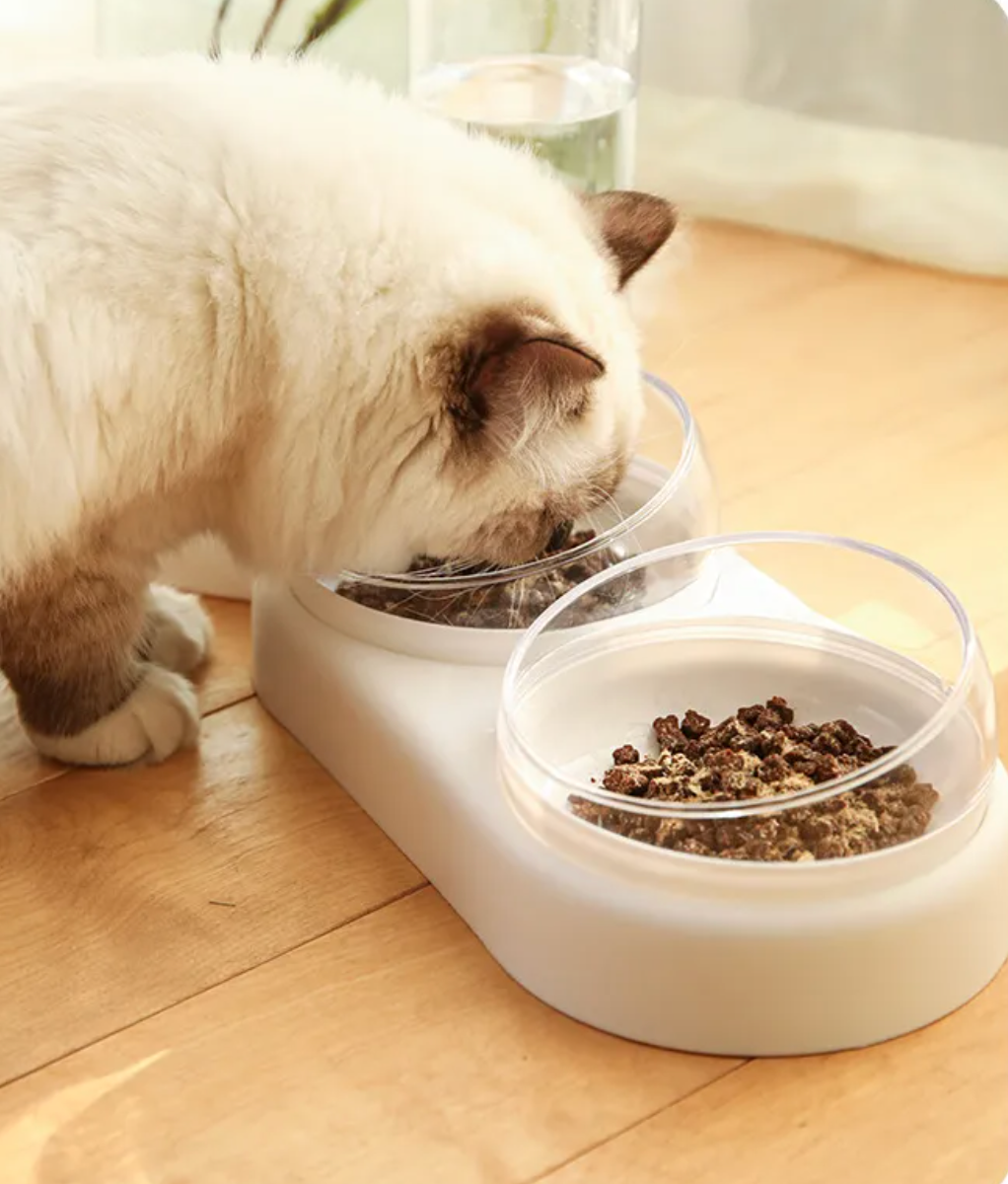 Automatic Pet Feeder with Water Fountain - Elevated Double Bowl Feeding Station for Dogs & Cats